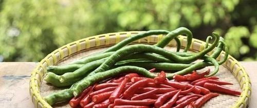 高脂食物|高血压“稳定器”已找到,若能坚持做到,血压或许不敢放肆