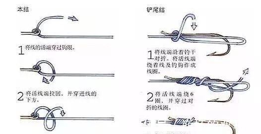 水深三米以上水域野钓,经常遇到黑漂不中鱼,这什么原因造成的呢