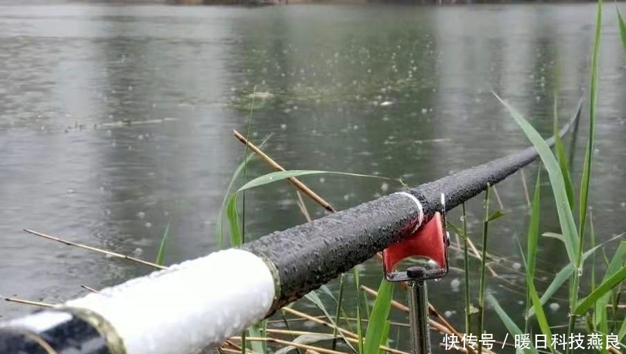 鱼钩|鳊鱼好吃又好钓,只可惜少用了这3招,钓技再高也别想爆护!