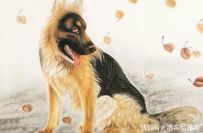 生肖|老人说,丈夫是此4生肖,重感情,有志气,嫁给他一生最有福气