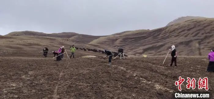 雪豹|这辈子一定要去趟这个公园 在这里“有种爱叫放手”