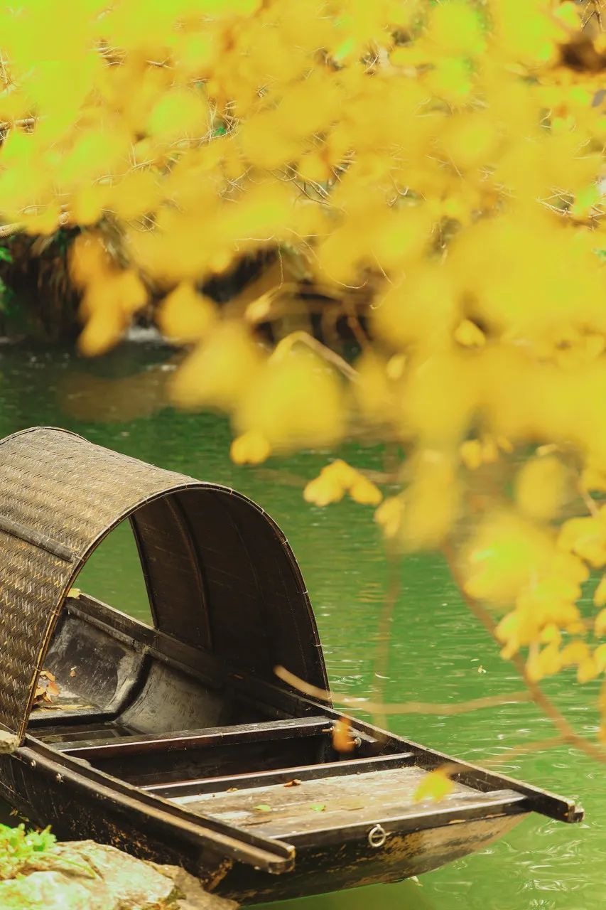 锦里 成都是一种“病”,不去治不好!