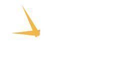 朗格 隐形富豪的新年愿望清单上会有什么表?