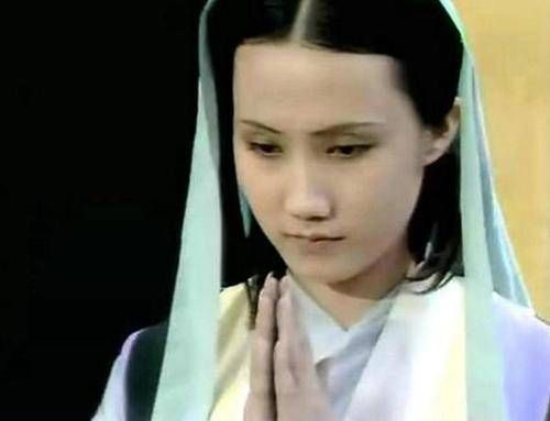 牡丹花|薛宝钗是牡丹花,为什么贾府无牡丹,多芙蓉花曹公寓意太晦涩