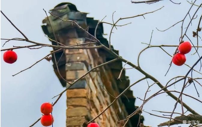 泉水|神仙之源、仙境源头