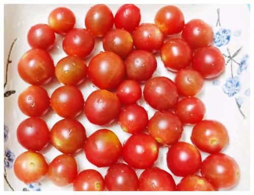 圣女果|想要减肥，吃西红柿还是圣女果，没吃对，可能体重迟迟不下百