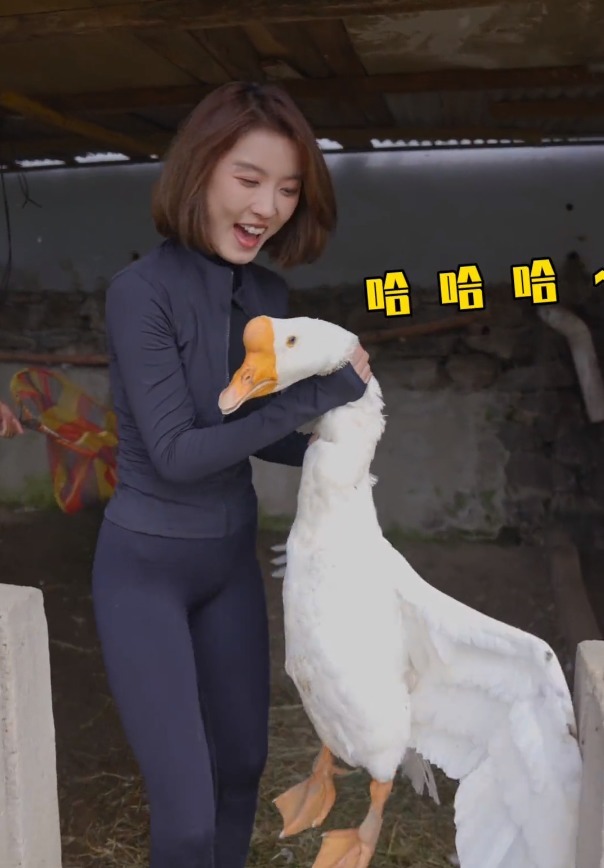 邓刚带女徒弟“盘老板”,刘志强不慎落水,网友:掌握了流量密码