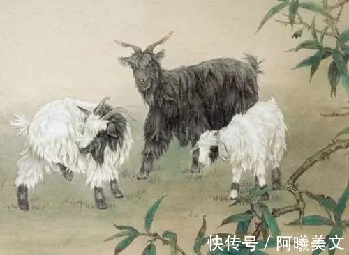 财运|3大生肖出生在这一年，犹如家中“摇钱树”，全家财运红如火！