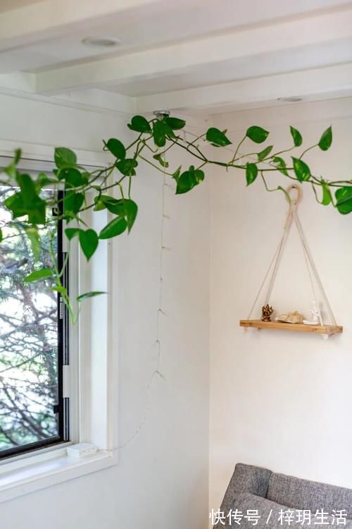 疯了|在27㎡的小房子离退休还很开心？看完的人都羡慕疯了