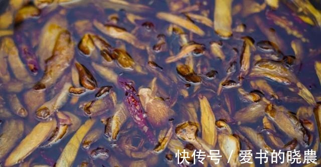 舌尖|「舌尖上的永胜」之鸡枞油!