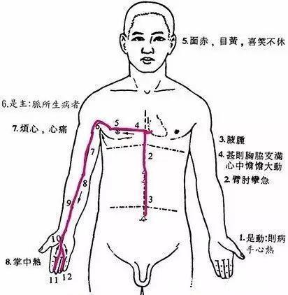 功能失调|肥胖是你这里不通,瘦大腿,瘦肚子,瘦背其实并不难!