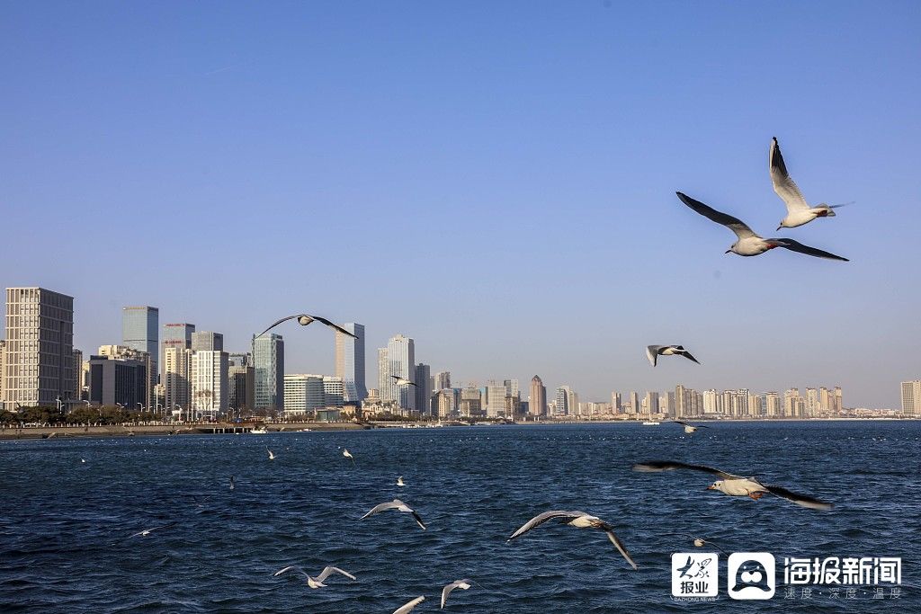 中年|青岛：游客喂食海鸥成独特风景线