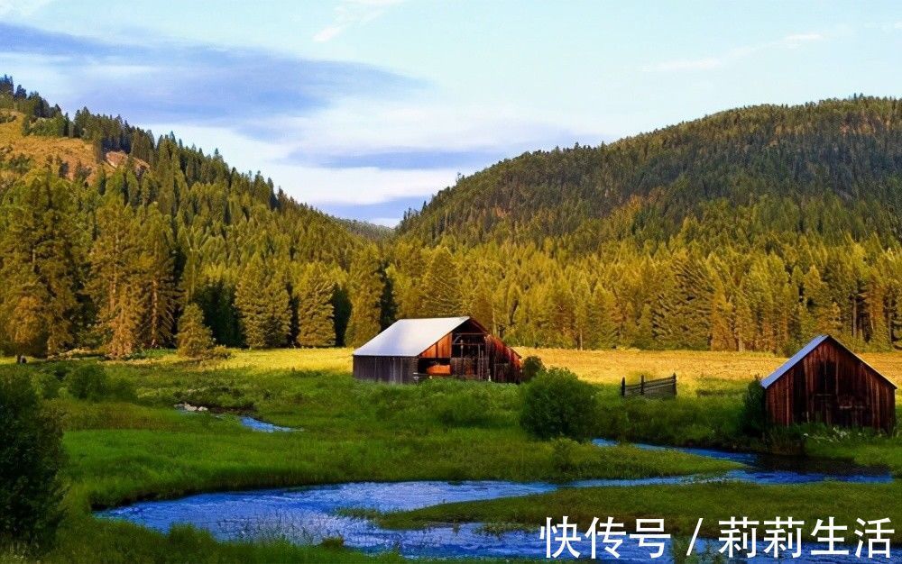 文案!推荐5本都市小说,纯粹种田文,没有修仙等乱七八糟的,悠闲生活