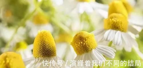 五宜|你不了解的，中药五味、五欲、五宜、五禁、五走、五伤、五过！