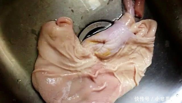 猪身上最贵的一个部位,无论爆炒还是炖汤都很补,大人孩子要常吃