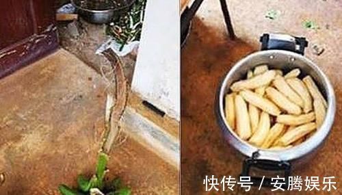 减肥方法|23岁女大学生,每天只吃10根香蕉,7天后她的身体有了这些变化