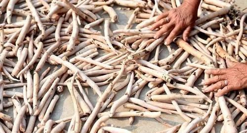 白芍|此物被誉为“养肝之圣药”,护肝补肝、敛阴养血,来认识一下