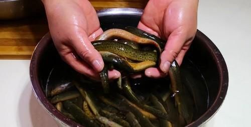 伏天|三伏天，再节约也要多吃“伏天5鲜”，为身体保驾护航，顺利过伏