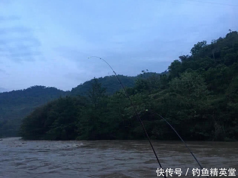 过后|洪水过后去钓鱼,这么大的黄颡鱼,还是头一次钓获