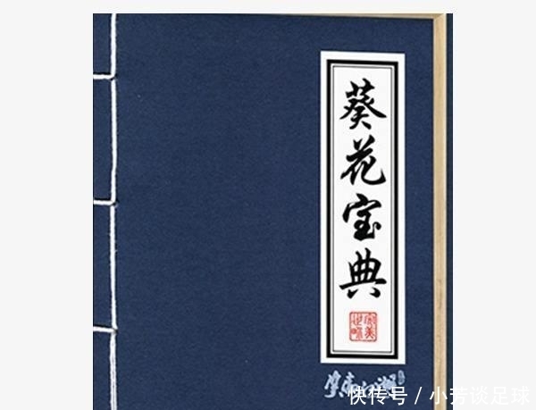 《葵花宝典》是谁写的?