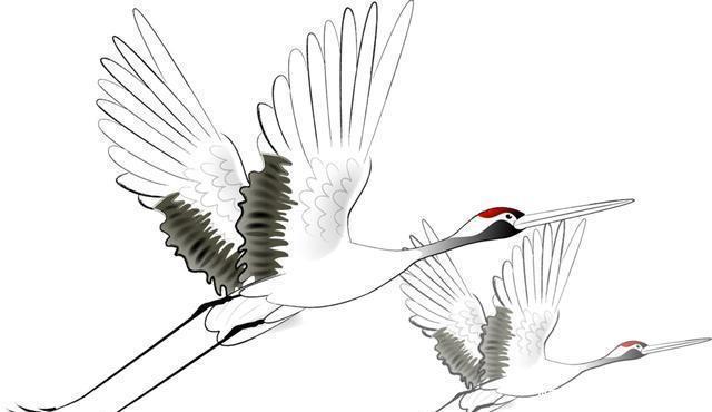 成菜|15秒成菜,国宾馆的手工菜在家也能做,虾肉爽嫩Q弹!