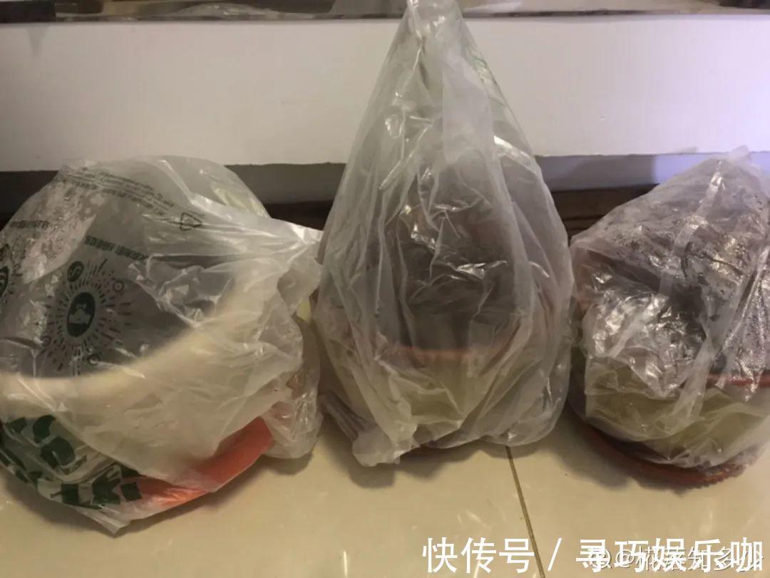 9种花特怕冷,低温浇水容易冻死,夜晚套袋子保暖