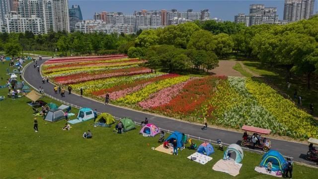 不去南京路外滩轧闹猛，上海人五一开心逛公园