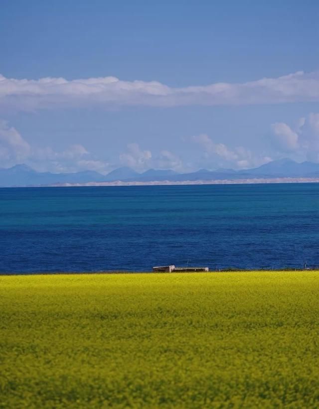 中国又一绝美国道美哭，从冰川到雨林，串联起万千美景