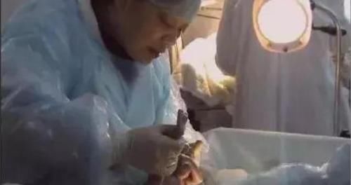 死神|出生轰动全国,14年前体重不足500克的“早产儿”,现在咋样了