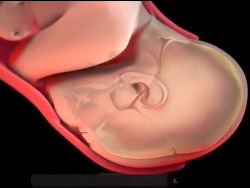 过程|顺产的全过程到底是怎样的,生而为人需了解,请勿泪奔