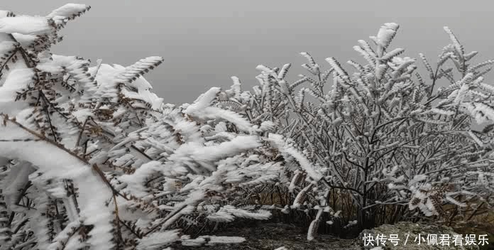 雾凇|雾凇奇观、百里云海！就这两天，快来北湖区仰天湖！