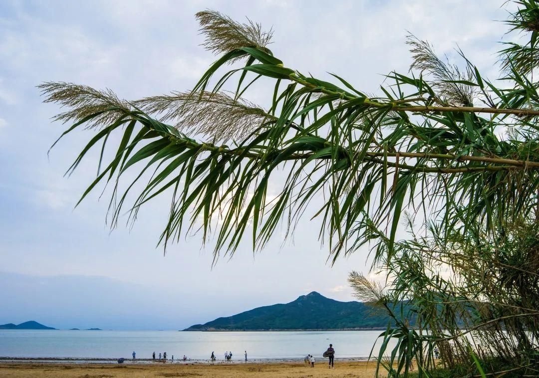 夏光|是时候啦！出发普陀这5片小清新沙滩看海踏浪，遇见初夏浪漫！