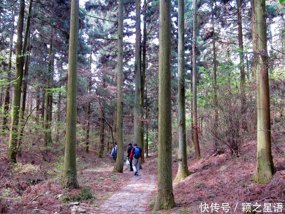 第二庐山商量岗，蒋宋别墅，防空洞和美龄泉