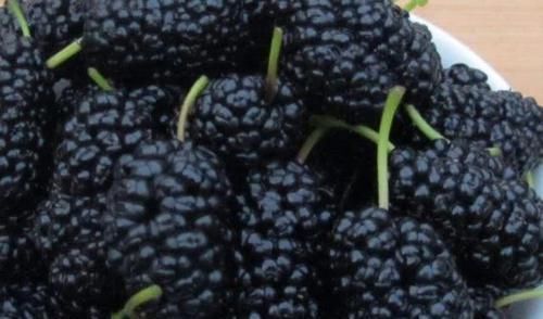 鹌鹑肉|男人对自己要舍得，4种“雄激素”平时放开吃，或助肾脏越活力