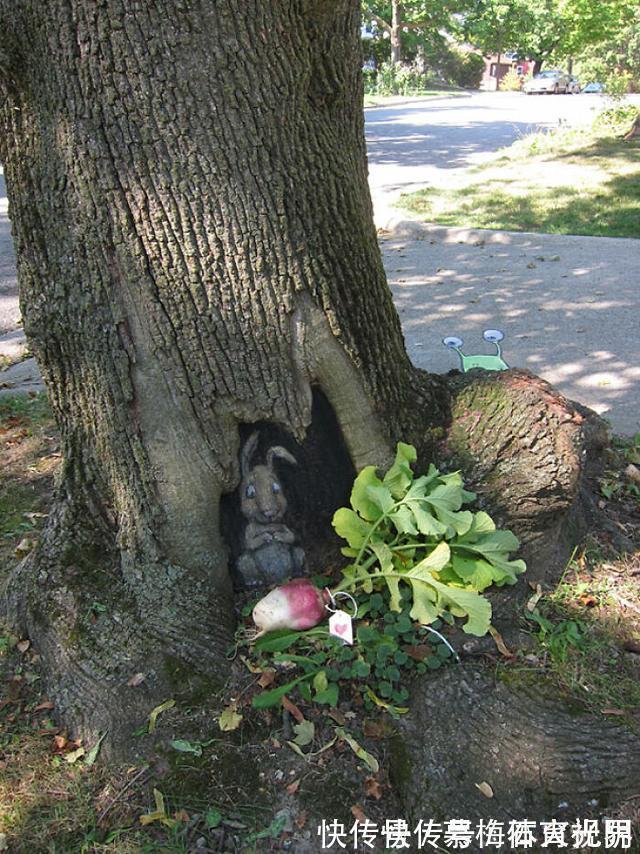 密歇根州!他用粉笔在街边“乱涂乱画”,吸引了百万粉丝,网友:能多来点吗