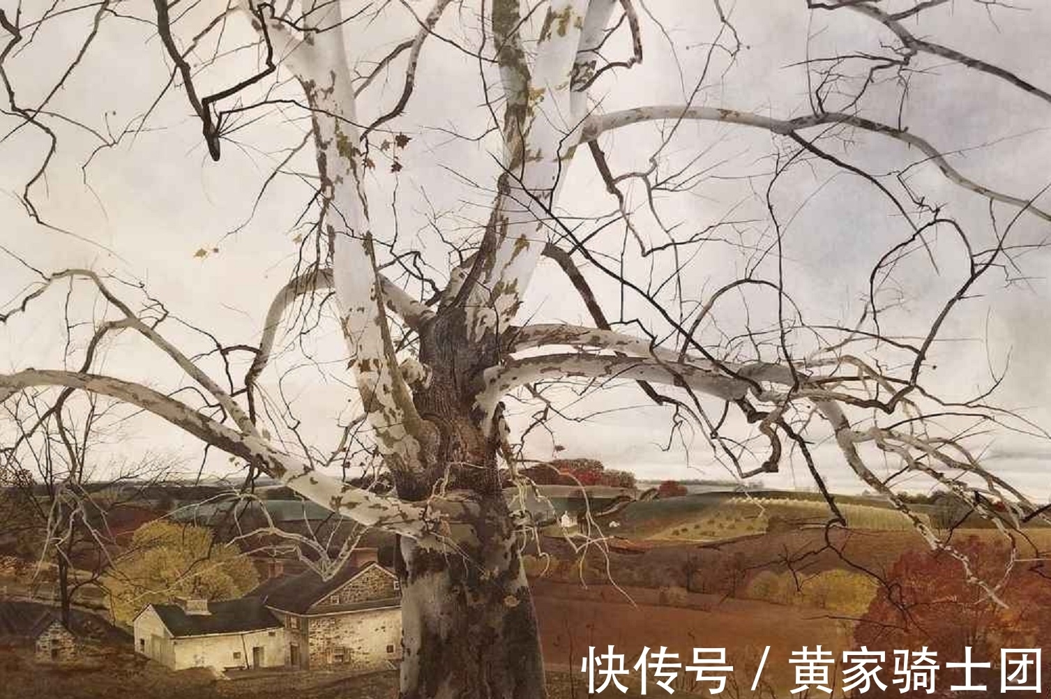 肖像画&十五年间给邻居画了200多幅人体画——天赋异禀的画家安德鲁·怀斯