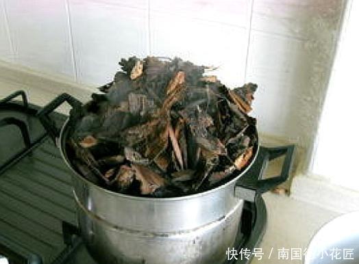 养花|出门捡4种东西,养花垫盆底,营养土不用买,疏松透气、不烂根