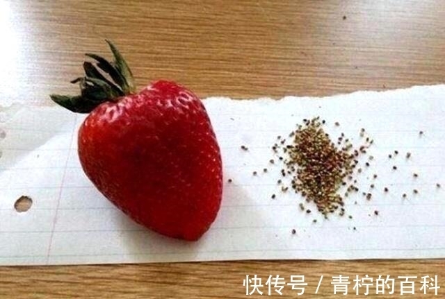 感觉|有个“强迫症”男友是什么感觉?草莓去籽太弱,石榴你吃得下吗?