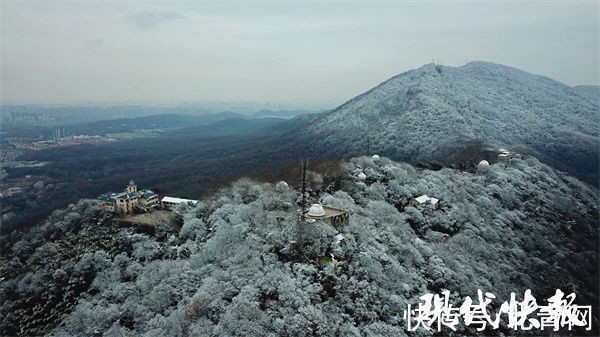 紫金山顶|雪没爽约！南京紫金山顶一夜披上冰雪“新装”