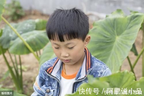 妹妹|3岁暖男哥哥哄妹妹睡觉,小胳膊有爱有担当,宝妈被这一幕感动