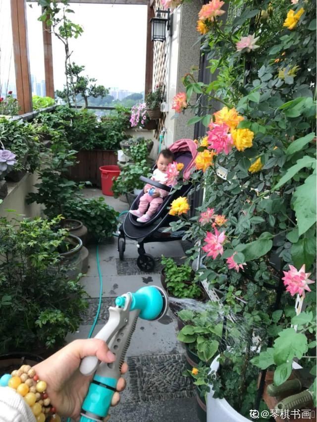 1粒小药片,碾碎丢水里,花像吃了兴奋剂疯长