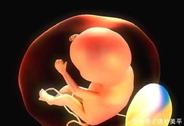 胎脂|怀孕时做到4个“不碰”,可以保持羊水清澈,宝宝生活环境超干净