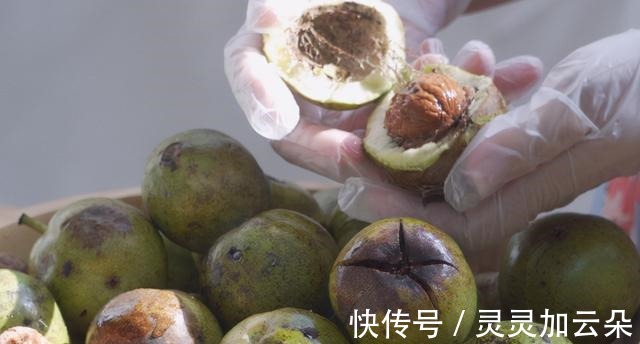 酥酥脆脆的核桃酥，叫你在家自己做，简单又方便！