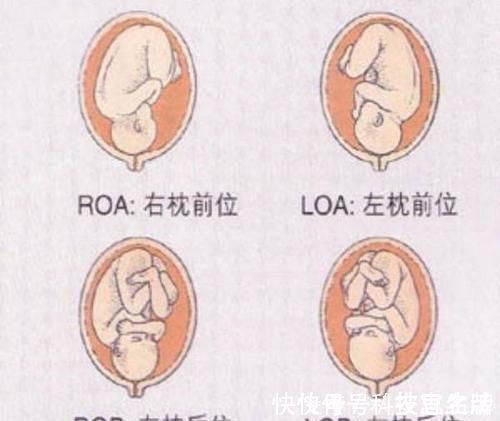 虎妞|女性“臀宽腰圆”易顺产?旧经验不靠谱,这些才是影响顺产的因素