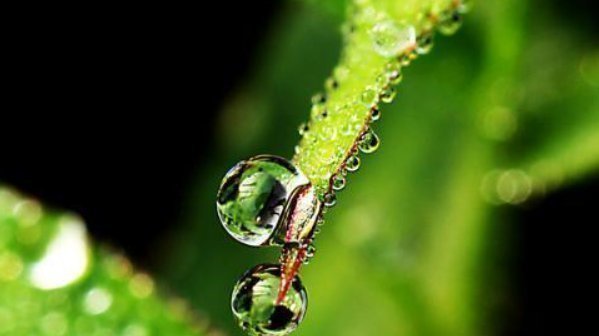 勤劳|一个家庭走向兴旺的4个征兆,你家若有一个,就要恭喜了