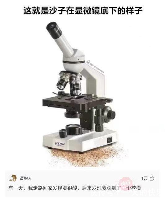 |幽默笑话:昨天我陪同客户签订合同,被董事长女助理偷偷绊了一下