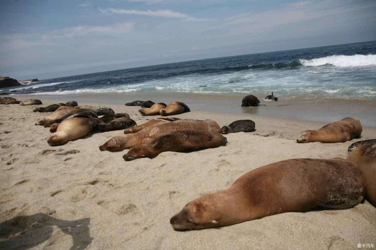 老年|向风兄学习下 我也分享下自己的色影