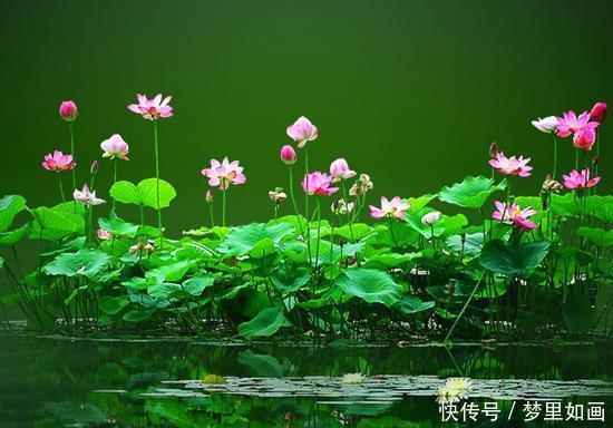 生肖牛|6月下旬，运势回升，4属相桃花朵朵，财源广进，未来一帆风顺