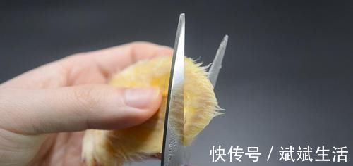 芒果核|芒果核扔掉可惜了,这个用途懂的人还不多,早点知道就好了