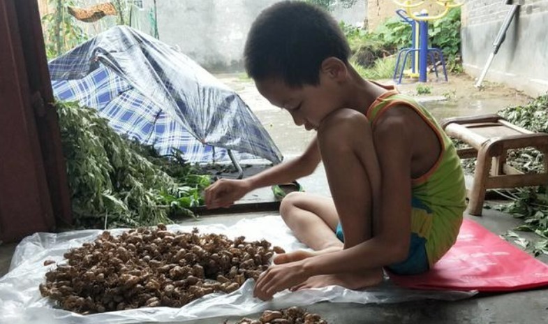 好好学习|最糟糕的父母,总是从小告诉孩子家里穷,让娃自卑一生难治愈